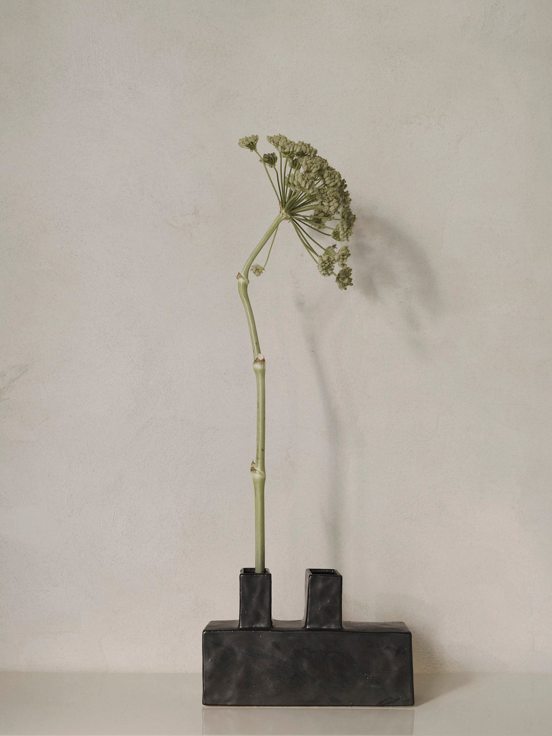ferm LIVING Koa Vase H17 cm in black glazed ceramic, a low wide block with two square necks holding a dried umbel
