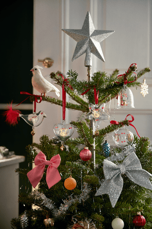 Ann-Sofi Romme Annual Christmas Bird 2025 small clear
