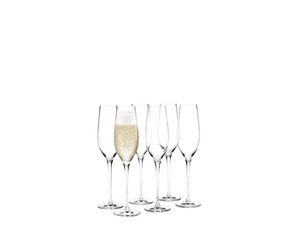 Cabernet Champagne Glass 29 cl clear 6 pcs.