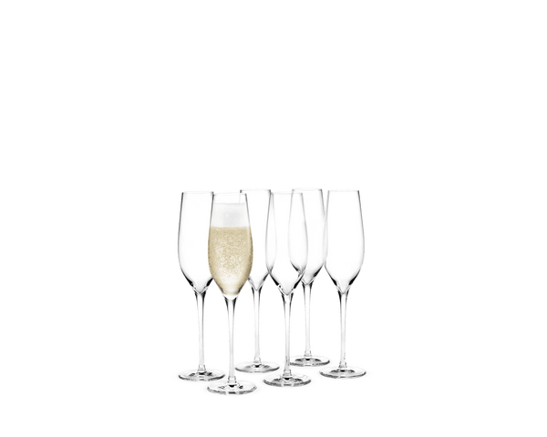 Cabernet Champagne Glass 29 cl clear 6 pcs.