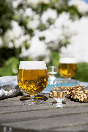 Det danske Glas Beer Glass 44 cl clear