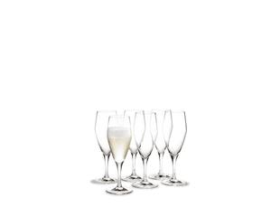 Perfection Champagne Glass 23 cl clear 6 pcs.