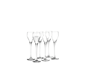 Perfection Shot Glass 5,5 cl clear 6 pcs.