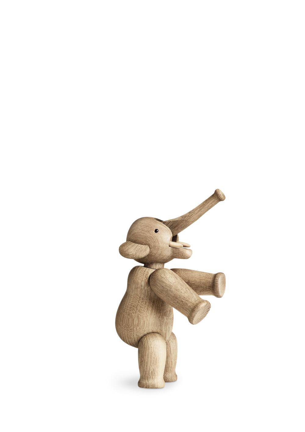 Elephant liliput oak