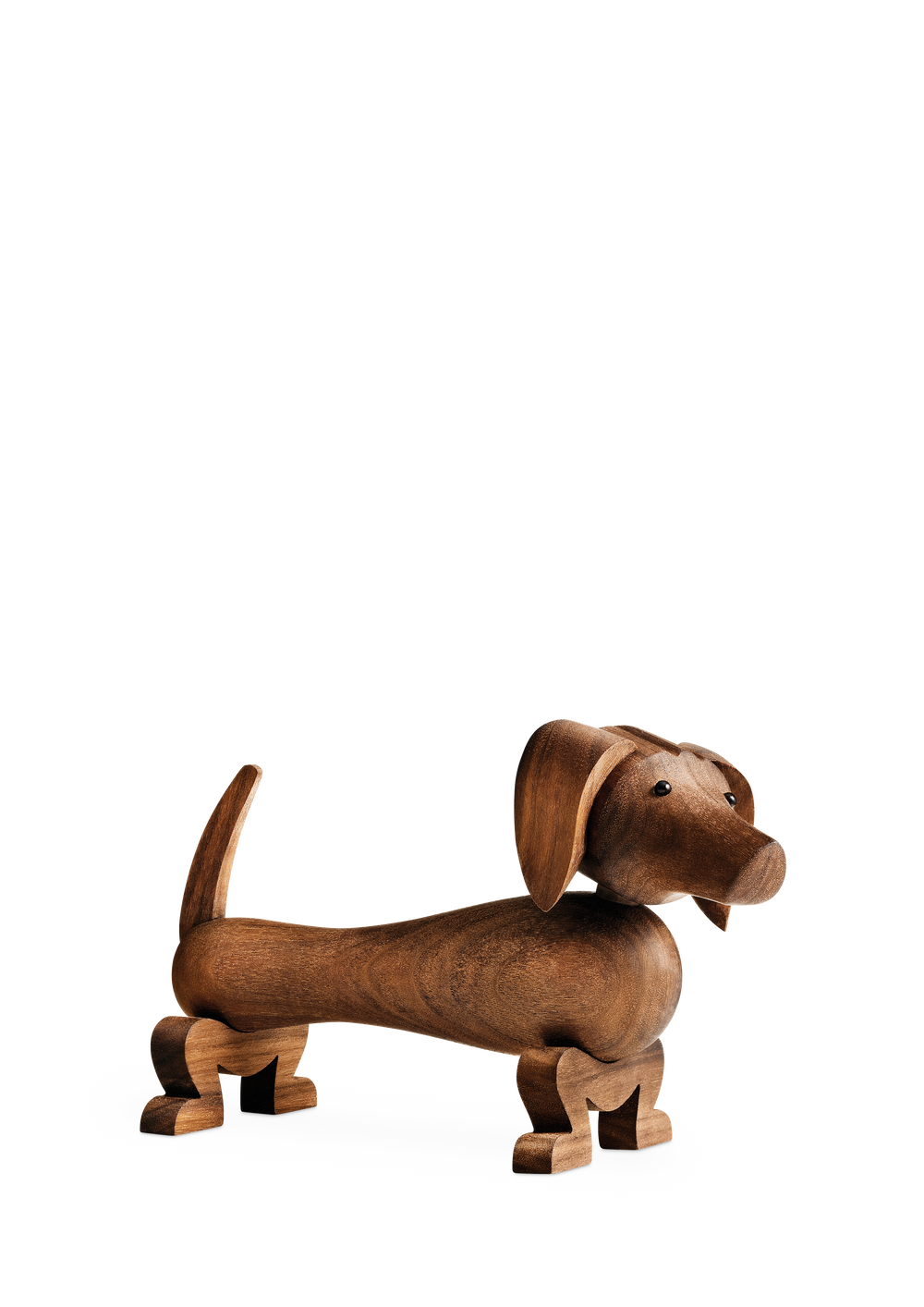 Dog small