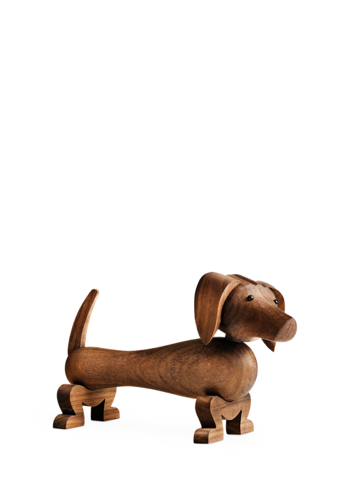 Dog small