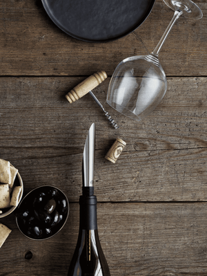 GC Barware Pouring, aerating and decanting stopper black/steel