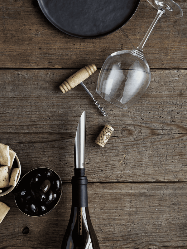 GC Barware Pouring, aerating and decanting stopper black/steel