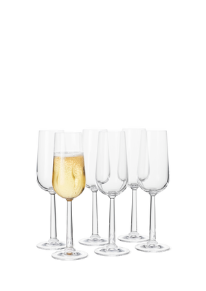 GC Champagne Glass 24 cl clear 6 pcs.