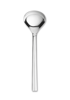 GC Serving spoon steel