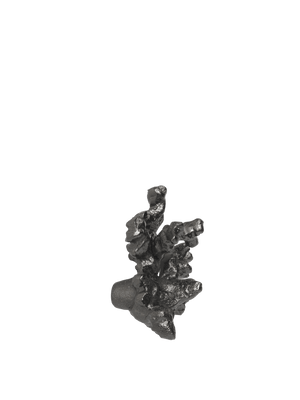 ferm LIVING Comber Coral Branch Hook – Blackened Aluminium
