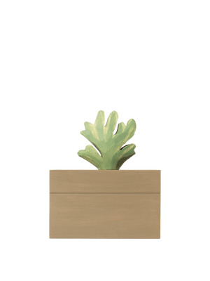 ferm LIVING Harbour Box – Coral – Mistletoe / Tan