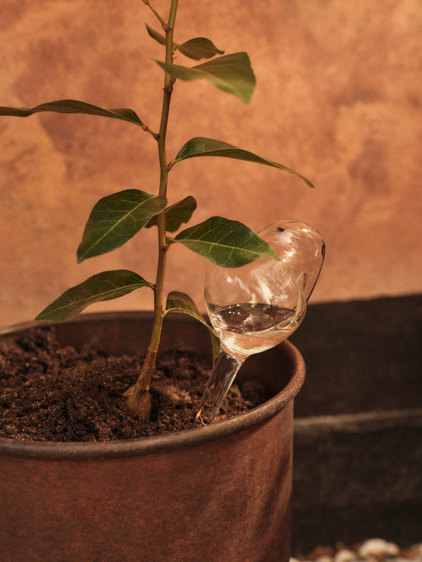 ferm LIVING Mercury Water Globes Small – Set of 2 – Clear