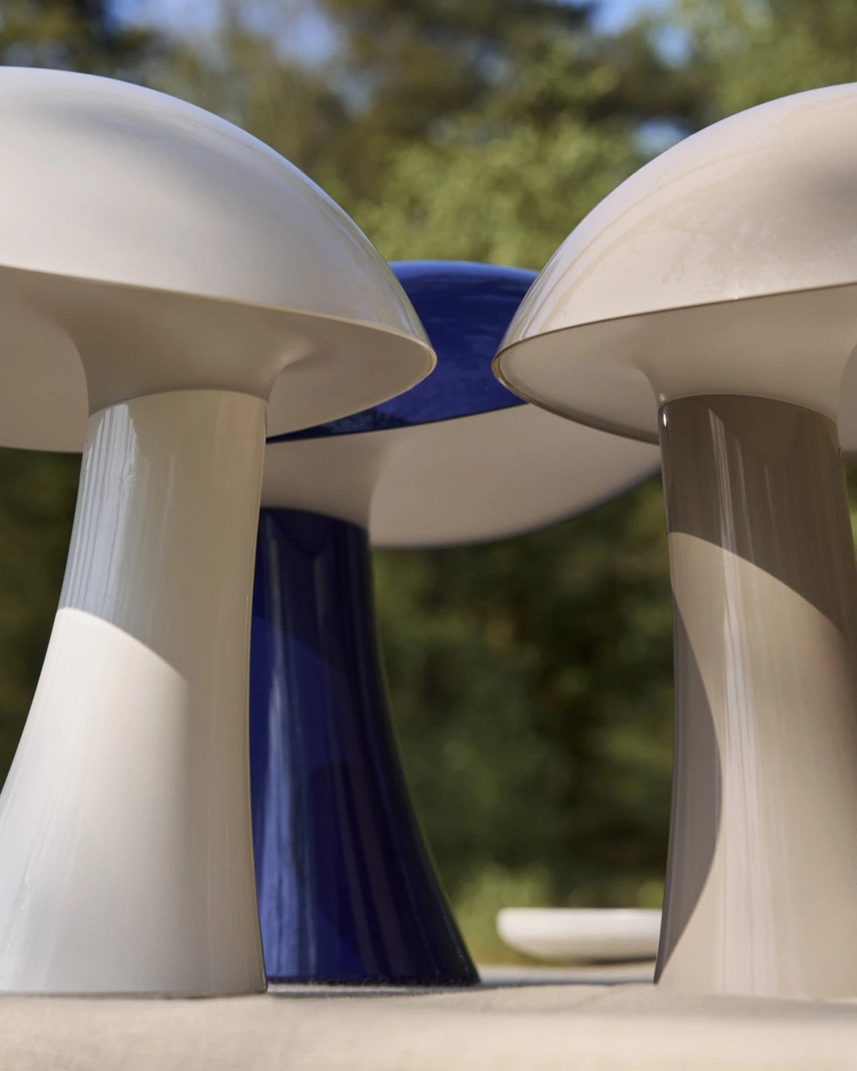 A lamp to share a home with