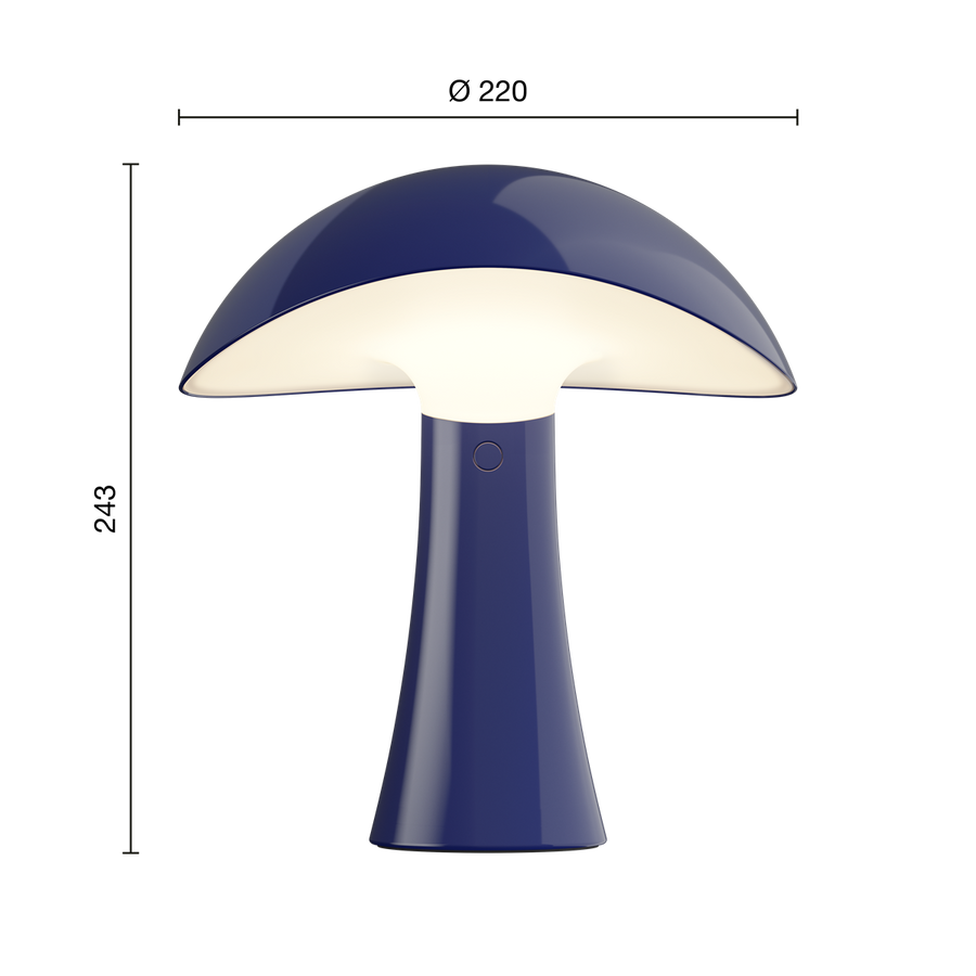 #nightblue