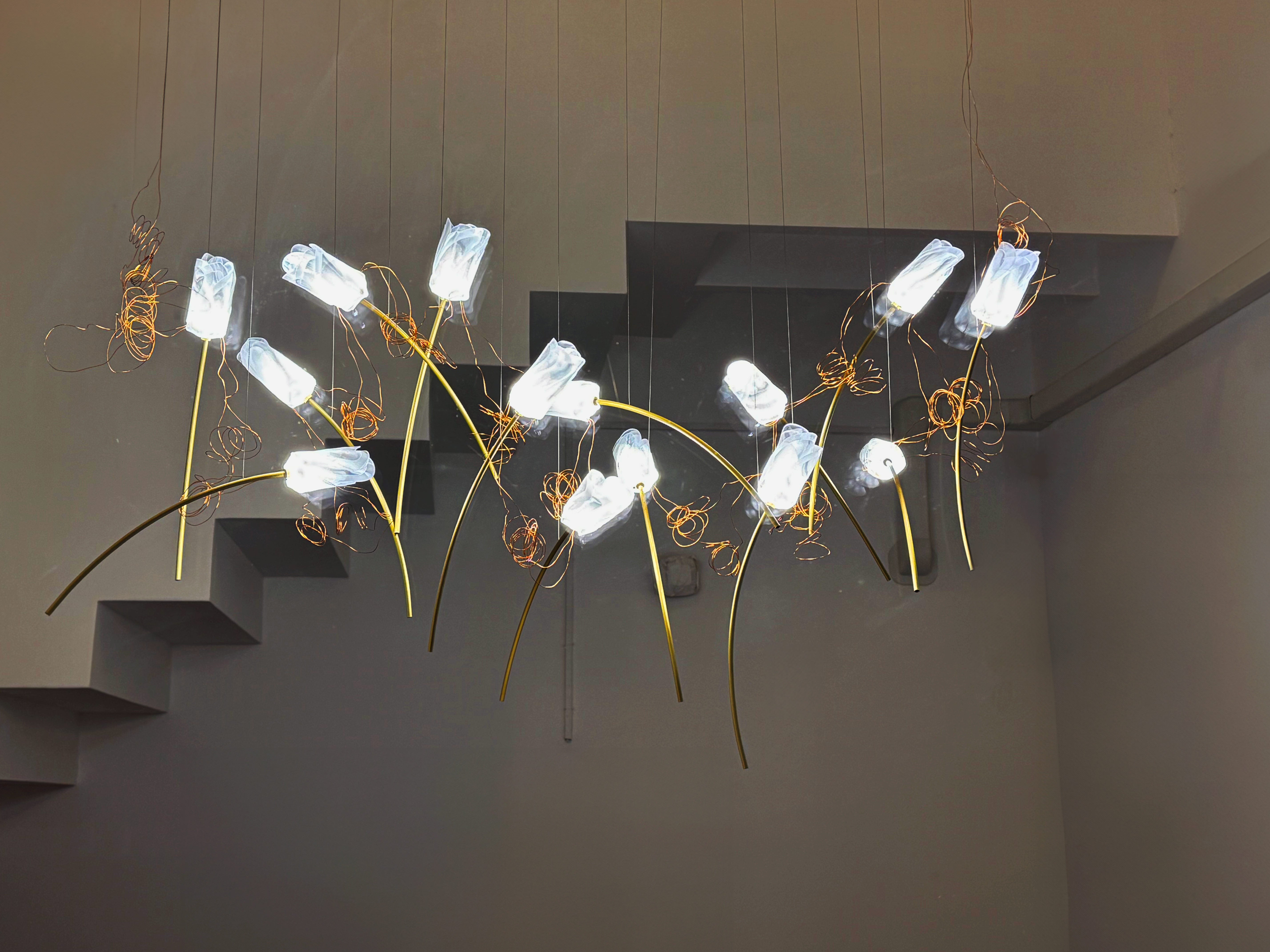 Vividify Showroom Image 3